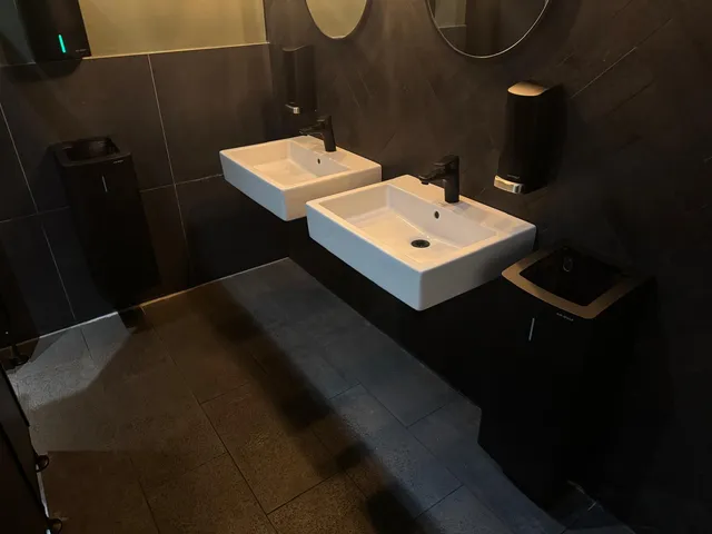 Fertig sanierter Sanitärraum mit Doppelwaschtisch und dunklem Fliesenbelag
